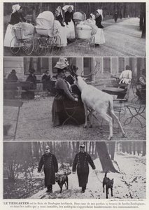 Le Tiergarten - European Photographer
