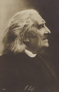 Portrait de Franz Liszt - European Photographer