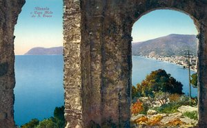Vue d