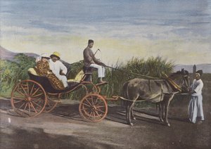 Voiture De Colons
