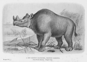 Un nouveau quadrupède éteint, Brontops Robustus