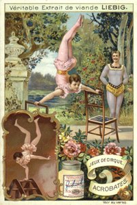 Acrobates - European School