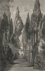 Allée du Generalife