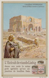 Ruines romaines antiques à Lambaesa