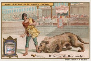 Androclès et le lion - European School