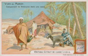 Campement bédouin à une oasis