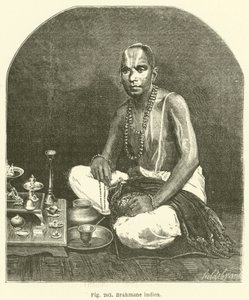 Brahmane indien - European School