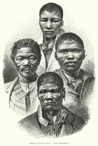 Bushmen du Cap - European School