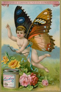 Chérubin Papillon avec des Roses