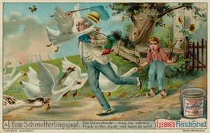 Chasse aux Papillons et Oies
