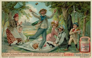 Chasse aux Papillons et Pique-nique