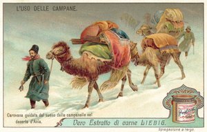 Caravane guidée par le son d