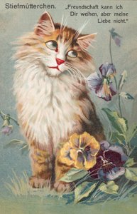 Carte postale de chat (lithographie couleur) - European School