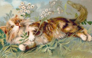 Carte postale de chat (lithographie couleur) - European School