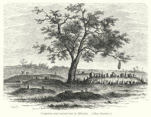 Cimetière et arbre sacré à Mbinda - European School