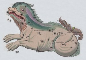 Cetus (lithographie en couleur)