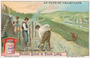 Champagne, carte de Liebig, début du 20e siècle (chromo) - European School