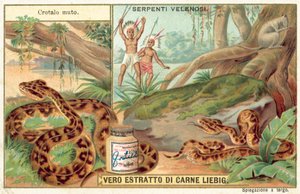 Copperhead