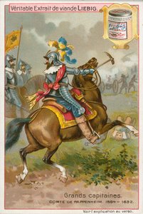 Comte de Pappenheim, carte de Liebig, début du 20e siècle (chromo) - European School