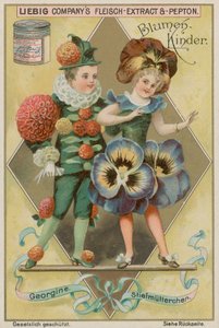 Dahlia et Pensée - European School