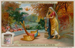 Damayanti apprend la vertu de Nala d