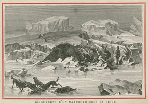Découverte d