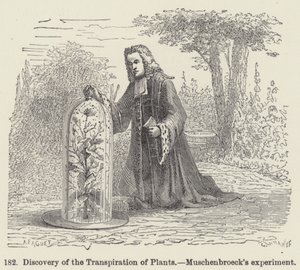 Découverte de la transpiration des plantes, expérience de Muschenbroeck - European School