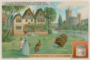 Cottages anglais sur la haute Tamise