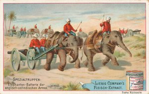 Soldats anglais tirés par des éléphants en Inde, carte Liebig, début du 20e siècle (chromo) - European School