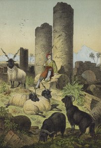 Berger grec avec des moutons valaches et des chèvres de Syrie - European School