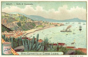 Golfe du Venezuela