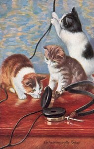 Carte postale humoristique sur les chats (lithographie couleur) - European School