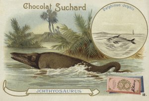 Ichthyosaure et dauphin commun - European School