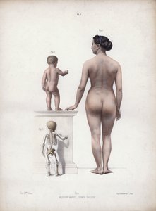Illustration pour L