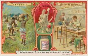 Ivoire - European School