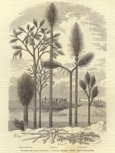 Paysages du monde primitif