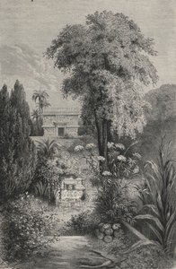 Le Paradis de Quetzalcoatl