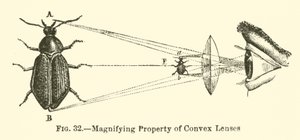Propriété Grossissante des Lentilles Convexes (gravure) - European School