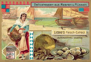 Moules et huîtres - European School