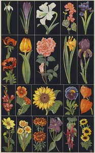 Page d