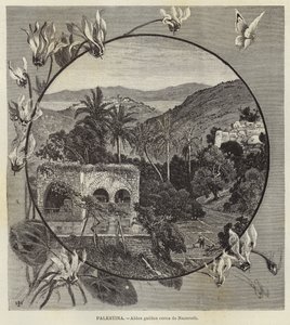 Palestine, Village galiléen près de Nazareth