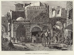 Palestine, Rue de la Porte de Damas - European School