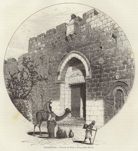 Palestine, Porte de Sion ou du prophète David - European School