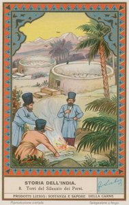 Tours du Silence parsi