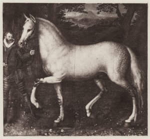 Le Cheval de la Reine Élisabeth - European School