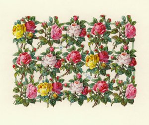 Roses - European School