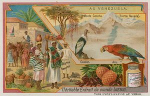 Sierra Nevada avec un Condor, un Perroquet et des Natives de Descendance Mixte