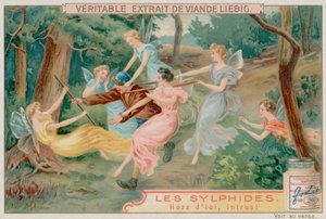 Sylphes et un intrus - European School