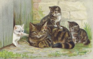 Chat tabby avec trois chatons (chromolitho) - European School