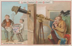Les Cinq Sens : La Vue